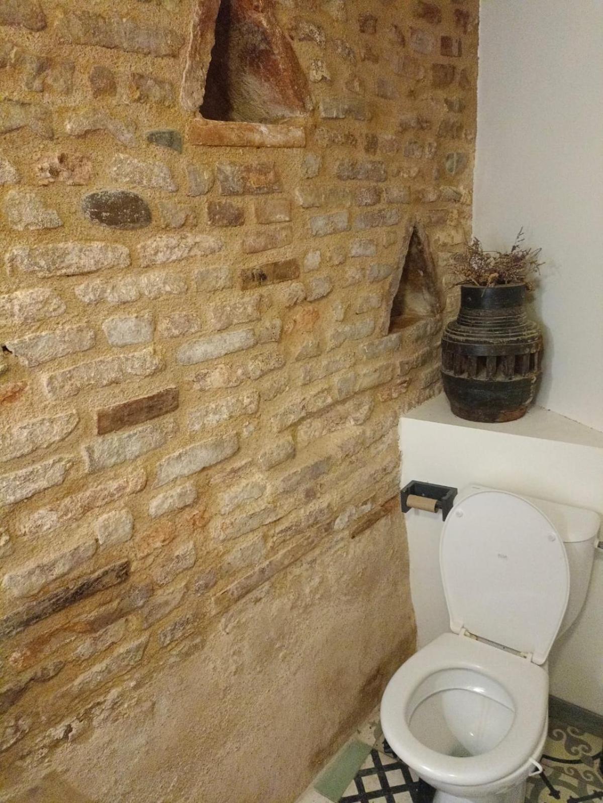 La Lauze Et L'Anguille Bed & Breakfast Gaillac Bagian luar foto