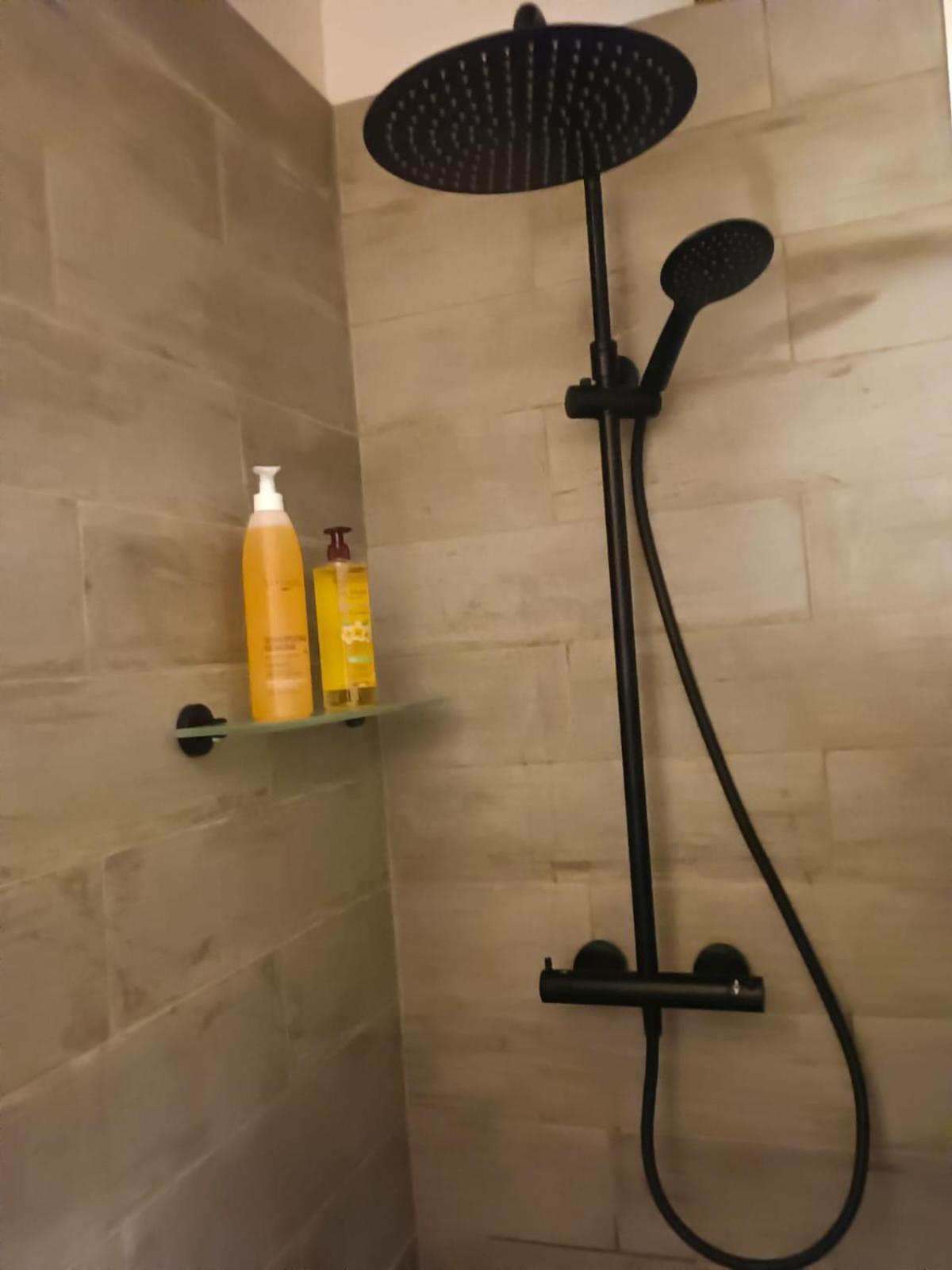 La Lauze Et L'Anguille Bed & Breakfast Gaillac Bagian luar foto